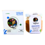 Alimento Natural Yepist Cisto De Artêmia Em Conserva 10g 