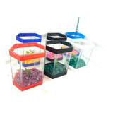 Kit 4-beteiras Ipaneminha Pequena Aquario Decorado P/ Bettas