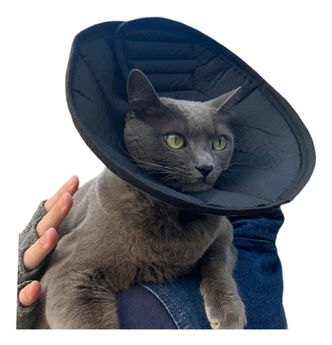 Cone Colar Elizabetano Para Gatos Pós Cirurgico Envio Rapido