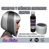 Shampoo Gris Plata + Máscara Matizante Gris Plata 