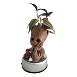 Vaso Para Suculentas Baby Groot