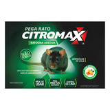 Ratoeira Adesiva Pega Rato Citromax