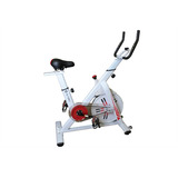 Bicicleta Resistencia Magnética 8kg Blanco Con Detalles