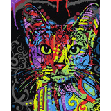 Kit Lienzo Para Pintar Por Números Enmarcado Gato Color