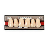 Dentes Para Próteses Biotone Tamanho 266 Cor 62 Dentsply