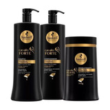 Kit Haskell Cavalo Forte Shampoo Condicionador Mascara 1l