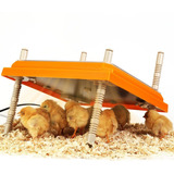 Heater Brooder, Caja Calentadora Para Pollos Y Patitos Eclos