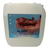 Alginet Astralpool Alguicida Para Alberca 4 Litros 