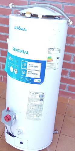 Termotanque Señorial 50 Litros,gas Natural.