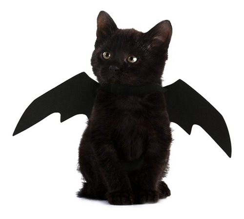 Fantasia Asa Morcego Gato Cat Cachorro Pet Halloween Full