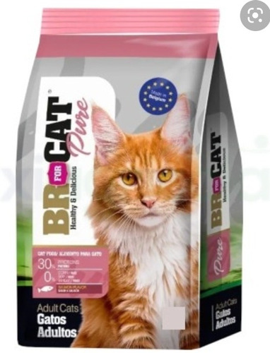 Br For Cat Salmón 10 Kg 