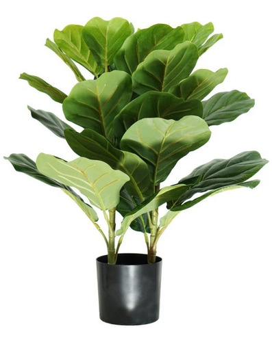 Planta Artificial Pandurata 50 Cm De Altura, Corner Home