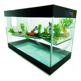 Aquário Terrario Decorado N3 30x14x19 Para Tartarugas Peixes