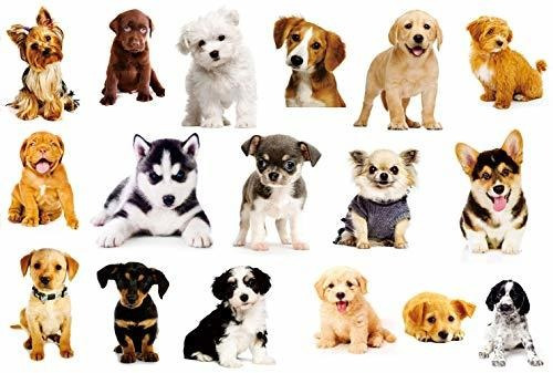 17 Piezas Perros Etiqueta De La Pared 3d Pegatinas De Mascot