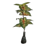 Planta Artificial Cóleo De Plastico Muy Realista 80cm $e