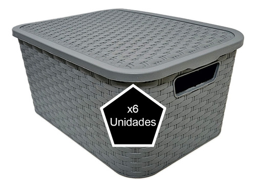 X6 Caja Organizadora Ropa Juguetes Rattan Tamaño Mediano 