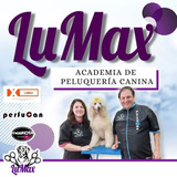 Curso De Peluquería Canina Lumax
