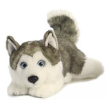 Alaska Husky Siberiano Bebé Peluche Miyoni Aurora Realista