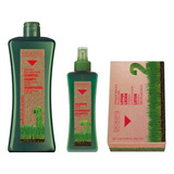 Salerm Biokera Anti Caida ® Shampoo 1000ml + Spray + Locion