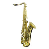 Saxofone Tenor New York Ts-200 Laqueado Dourado Completo