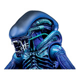 Alien Warrior Club Exclusive 2019 Neca Aliens Alienigena