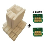 Kit 2 Chips + Almohadilla Epson F170 F171