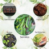 10 Semillas De Planta Canavalia Con Kit De Germinación
