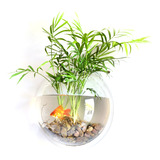 Cuenco Acrílico Tank Goldfish Home Aquariums Fish Flower