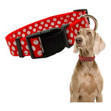 Collar Para Perros Razas Chicas Y Pequeñas Premium Ajustable Color Puntos Rojo