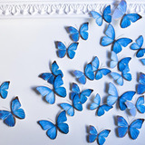 Set X48 Mariposa Azul Autoadhesiva Decoración Pared Techo