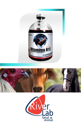 Alimento Vitaminas B12 5500. & River Lab & 100 Ml