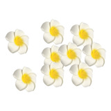 Healthcom 100 Unidades De 2,4 Polegadas Plumeria Artificial