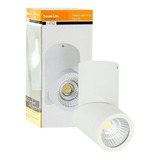 Luminario De Interior Spot Sobreponer Tecnolite Blanco