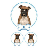Sticker Mascota Boxer Niño 3 Pza Para Personalizar