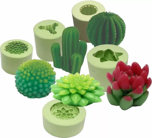 Kit Moldes Silicone Cactos E Suculentas 5 Modelos Em Estoque