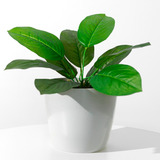 Plantas Artificiales Verde Con Maceta Blanca Interior 40cm