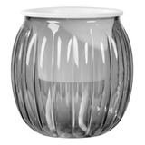 Vasos De Plantas Pequenos Em Vasos Hidropônicos Transparente
