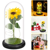 Luz Led De Girasol Decorar Pequeño Regalo