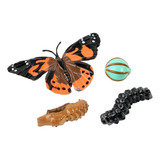 Butterfly Garden: Hábitat Escolar En Casa Y Dos Tazas Vivas