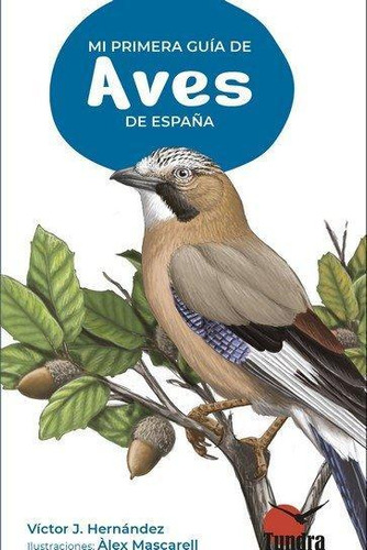 Libro: Mi Primera Guia De Aves De España. Aa.vv. Tundra Edic