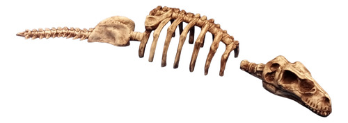 Adorno Acuario Resina Esqueleto De Alosaurio