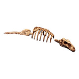 Adorno Acuario Resina Esqueleto De Alosaurio