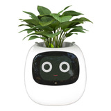 Maceta Robot Con Inteligencia Artificial Plant Ivy Blanco