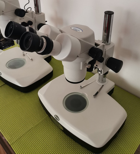 Estereomicroscopio Motic Binocular Smz 168