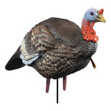 Señuelo De Pavo De 1/4 Strut Jake Para Atraer Gallinas, Toms