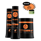 Kit Haskell Encorpa Cabelo Shamp+cond+ Masc 500ml + Brinde