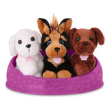 Adopta 3 Perros - Bichón Frise, Yorkshire Terrier & Labrador