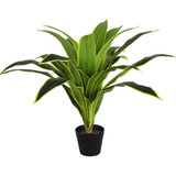 Plantas Artificiales Decorativas Arbol Dracaena Fragans 75cm