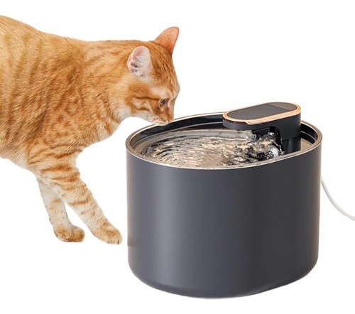 Bebedero Para Gatos Fuente De Agua Para Mascotas 3 L Filtro