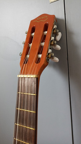 Guitarra Gracia Modelo M5 Con Funda 
